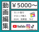 こみこみ5000円〜丁寧に動画編集いたします YouTube向け動画編集以外もお任せください！！ イメージ1