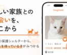 DL数を伸ばすストア画像一式制作します ｜ガイドライン準拠・iOS/Android対応 イメージ4