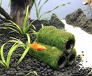 水槽のレイアウトします お魚さんを飼いたいあなたへお手伝いします！ イメージ2