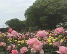 10日間伴走｜物語の軸と構造を整理します 頭の中にある物語を、迷いをほどきながらプロットへ整えます イメージ1