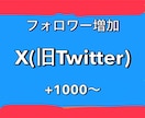 Twitter！フォロワー1000人増やします 1500円で＋1000人！最大5万人まで増加可能！ イメージ1