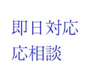 志望動機の添削付★履歴書、職務経歴書一式添削します 即日相談可！転職・就職活動に必要な書類一式作成ご支援致します イメージ2