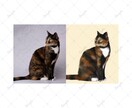 写真から可愛いリアルなペット似顔絵を描きます 可愛いペットのSNSアイコンやオリジナルグッズ制作に！ イメージ4
