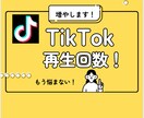 TikTok動画の再生数アップを支援します 2025.9まで特別価格にてご提供！値上げ前にお早めに！ イメージ1