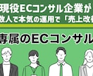 お試しECコンサルティング 売上改善させます お試しの専属コンサルティング（※1ヶ月のみ） イメージ1