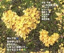 お話し何でも聞きます お金の相談以外なら、何でも聞きます(笑) イメージ1