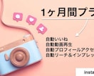 インスタグラムの自動いいねなどのプランを提供します 一ヶ月間自動でいいねやプロフィールアクセスをゲットできます イメージ1