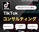 あなたのTikTokをプロが忖度0でコンサルします オンラインで1時間、質問し放題！企画・編集・改善提案など イメージ1