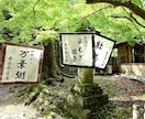女性目線の写真(主に近畿)販売いたします 主に京都や関西で撮った観光地や自然の写真を販売致します。 イメージ6