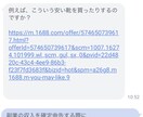 中国輸入初心者向け、仕入れから販売まで教えます 期間限定、副業初心者のメソッド イメージ4