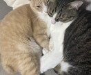 運命を変えたい方✨算命学、タロットなどで占います 心のモヤモヤ、お悩み、お話ししてスッキリしませんか？ イメージ7