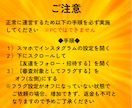 インスタに日本人女性フォロワーを100人増やします 【モニター価格】／匿名評価／女子／日本／拡散 イメージ3