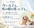 ペットの気持ちと仕草の理由を霊視でお伝えします 今いる子も旅立った子も、受け取った想いを丁寧にお伝えします イメージ2