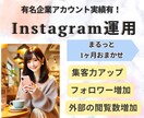 集客に繋がるInstagramの運用代行します 有名企業アカウント実績有！期間内質問し放題！ イメージ1