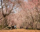 介護福祉士受験対策(社会保障制度)レッスンします 福祉専門学校での経験を活かし、社会保障について解説します！ イメージ1