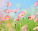離婚の手順をお教えします 離婚の手続きや離婚後の生活が分からない方、経験者の私が伝授！ イメージ1