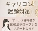 キャリアコンサルタント試験のサポートをいたします 学科・実技オールA合格者による勉強法・ロープレフィードバック イメージ1