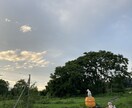 移住の不安、田舎のリアル…ゆるっと相談のります 信州の野山で育った農家の兄ちゃんが、田舎暮らしについて話すよ イメージ8