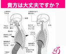 日本産後ダイエット協会認定資格取得が出来ます 産後女性の心と身体のケアで日本を元気に‼️妊娠前よりキレイ イメージ5