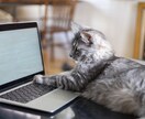 猫カフェ顧問・猫専門行政書士が質問にお答えします 猫と法務の悩み、プロがお答えいたします！ イメージ2