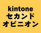 kintoneのセカンドオピニオンをします kintoneの運用に関する二次的な相談窓口です イメージ1