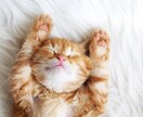 勉強中の為「格安」で良質な睡眠方法教えます 睡眠を制するものは自分を制する。 イメージ1
