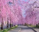誰かと話したい時聞いて欲しい時私がいますます 誰かと話したいな　心寂しい時そんな時は美鈴とお話しませんか？ イメージ1