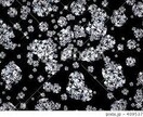 女性専用少し聞いて♪開運エネルギーをそっと流します 育児/介護/お金/仕事/体調不良/婦人科系/更年期運気UP✨ イメージ8