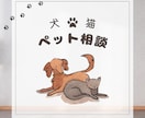 現役動物看護師がペットのお悩みお聞きします しつけ相談、病気の相談、グッズや食事の選び方など イメージ1