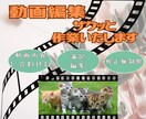 素早く品質の良い動画編集承ります 動画内容に合わせた柔軟な編集！安心感も合わせてお任せ！ イメージ4