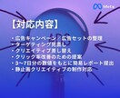 Meta広告インスタ広告の初期調整／改善いたします Meta/インスタ広告の改善・クリエイティブ差替を行います イメージ3