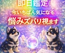 即日鑑定｜今いちばん気になる悩みズバリ視ます 今いちばん気になるテーマを恋愛・仕事・人間関係なんでも視ます イメージ1