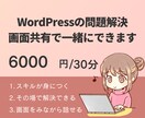 画面共有で一緒にWordPressの問題解決します 自分でできるようになりたい方におすすめ！ イメージ1