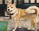 写真からリアルな鉛筆・色鉛筆の似顔絵をお届けします 動物好きな画家が心を込めて絵がきます。 イメージ6