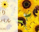 WEBバナー作成を格安で作ります 分かりやすくかつご要望に応じたバナーを作成します。 イメージ4