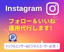 インスタグラムのいいね＆フォロー代行します 【実績3150件以上】手作業で効率よく運用するサポートします イメージ10