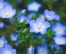 心のモヤモヤに寄り添います パートナーがうつ病に...そんなときは1人で抱えないで！ イメージ1