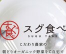 レスポンシブ込みでコーディング（LP1枚）をします HTML/CSSのコーディング作業を請負います イメージ6