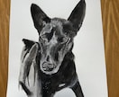 犬や猫の絵を描きます 画像からえんぴつや顔彩で絵を描きます。 イメージ5