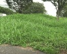 会社での愚痴ききます お話し聞ききたいです。私も沢山悩んできました。 イメージ1