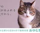 愛されるネーミングまたはキャッチコピー5案考えます お客様の記憶に残り、共感される案をご提供いたします イメージ8