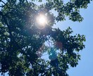 悩み、モヤモヤ、不安、辛さ、雑談愚痴何でも聞きます ⭐️看護師兼メンタルケア心理士があなたの気持ちに寄り添います イメージ1