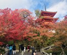 コロナの後は旅行しよう！ステキな旅プラン考えます 元大手旅行会社で、現役CAがステキな旅プランを作成します❣️ イメージ1