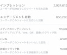 Twitterでインプレッション1万まで拡散します 数回バズり経験あるアクティブ垢2万フォロワーで拡散します！！ イメージ3