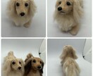 羊毛フェルトで作るリアルな犬の制作方法になります 愛犬さんを羊毛フェルトで作ってみませんか？ イメージ7
