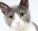 エジプトの神々♡猫の女神バスト♡お送りします 母の愛 猫型宇宙生命体 フェリン 遠隔アチューンメント イメージ1
