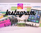 インスタフォロワー増やします Instagramのフォロワーを100人増加！ イメージ1