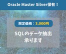 ベンダ上位資格保有！データ抽出のSQL作成します 厚労省大規模システムのデータ抽出歴5年ベンダ資格保有者が対応 イメージ1