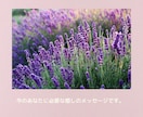 天国に旅立ったあの人の想いをカードで読み解きます ✨魂で繋がる大切な人からあなたに伝えたい必要なメッセージ イメージ3