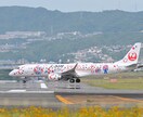 飛行機の写真をお探しの方にご提供します 飛行機が好きな方に写真をご提供さしてもらいます イメージ6